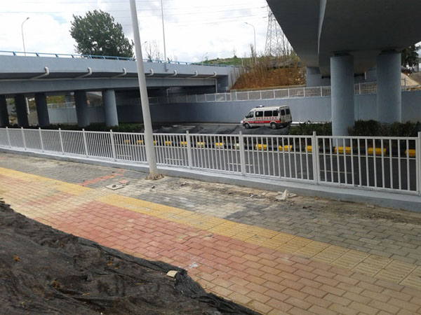 贵安新区党湖路人行护栏